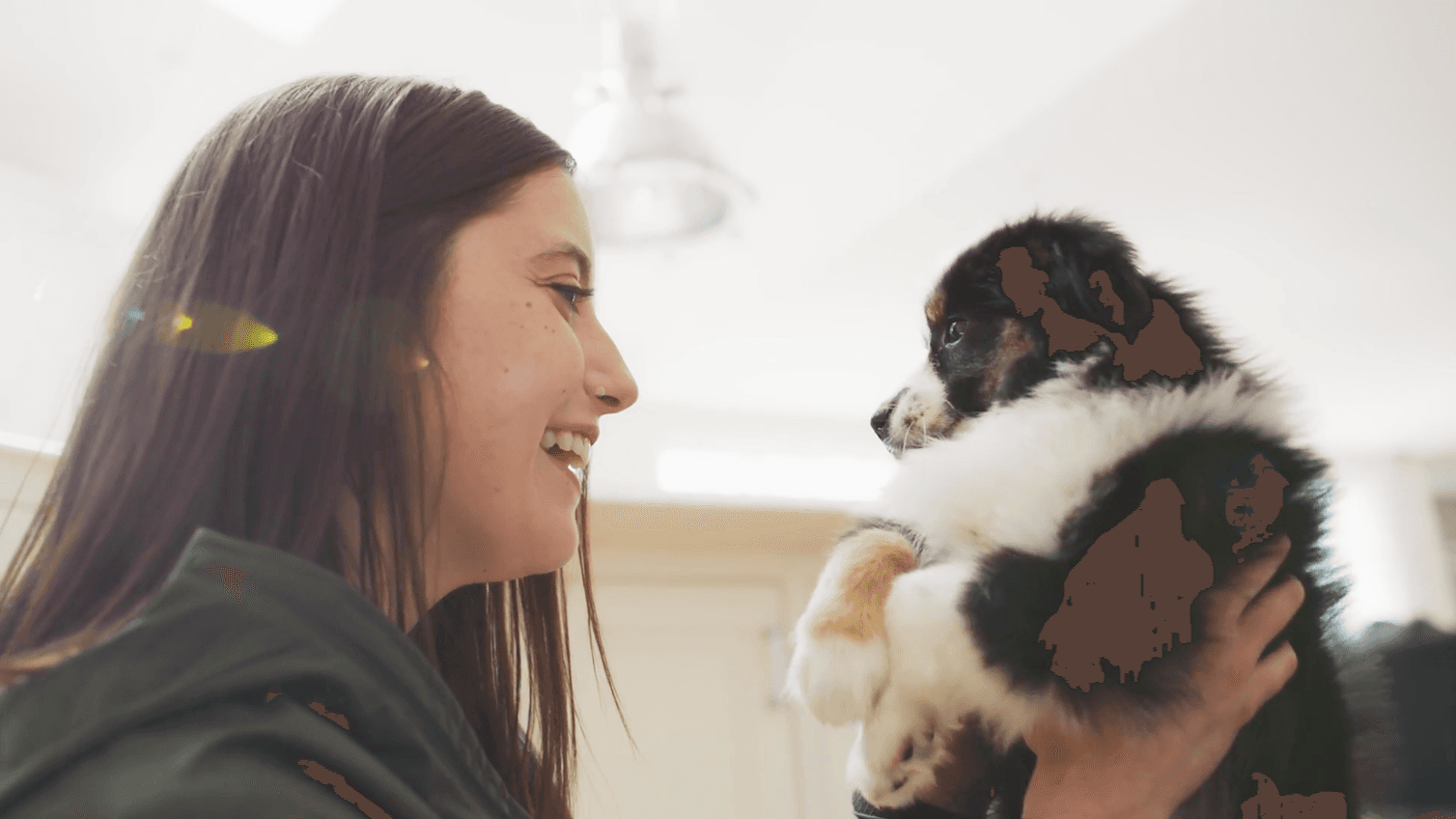Best dog breeds perfect for families